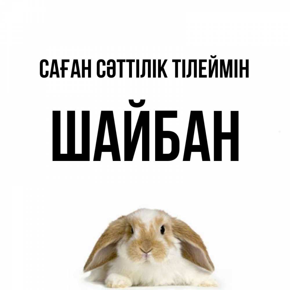 Күн сайын ашық хат с именем, ШАЙБАН Саған сәттілік тілеймін открытки с произвольным текстом который можно вставить в открытку и создать ее самостоятельно бесплатно онлайн Онлайн тегін жүктеп алу тілектері бар керемет карта 
