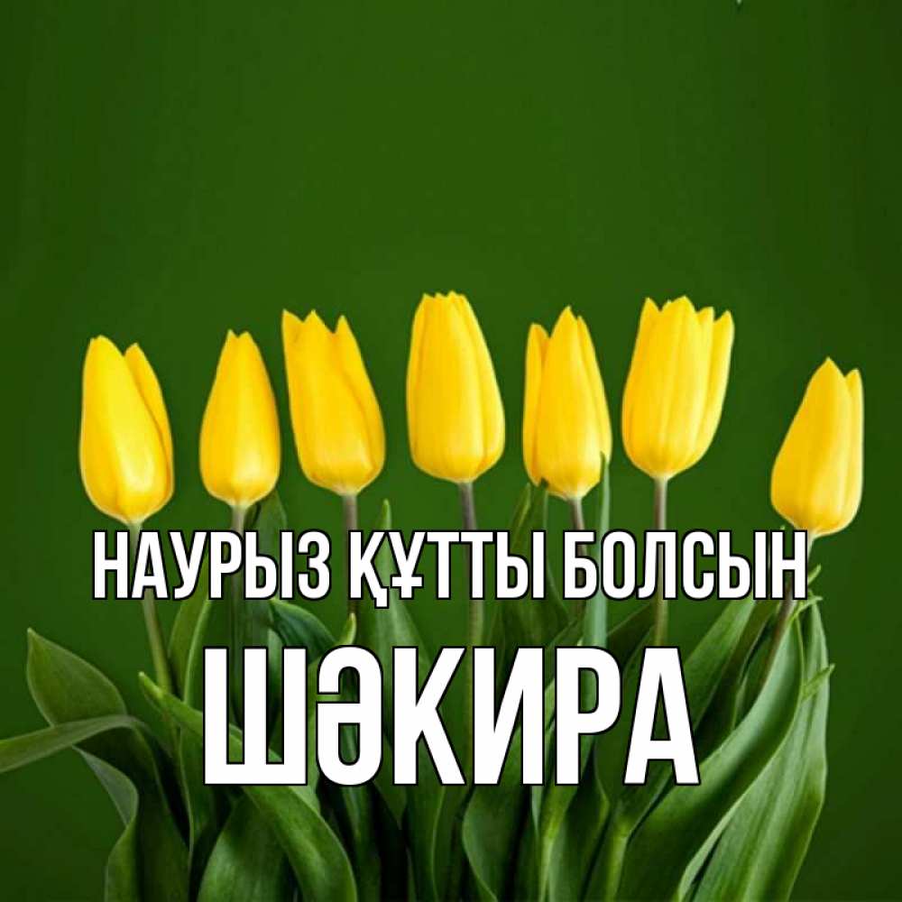 Күн сайын ашық хат с именем, ШӘКИРА Наурыз құтты болсын желтого цвета 3 Онлайн тегін жүктеп алу тілектері бар керемет карта 