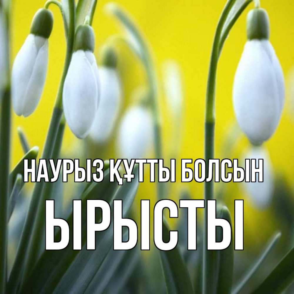 Күн сайын ашық хат с именем, ЫРЫСТЫ Наурыз құтты болсын весенние цветы Онлайн тегін жүктеп алу тілектері бар керемет карта 