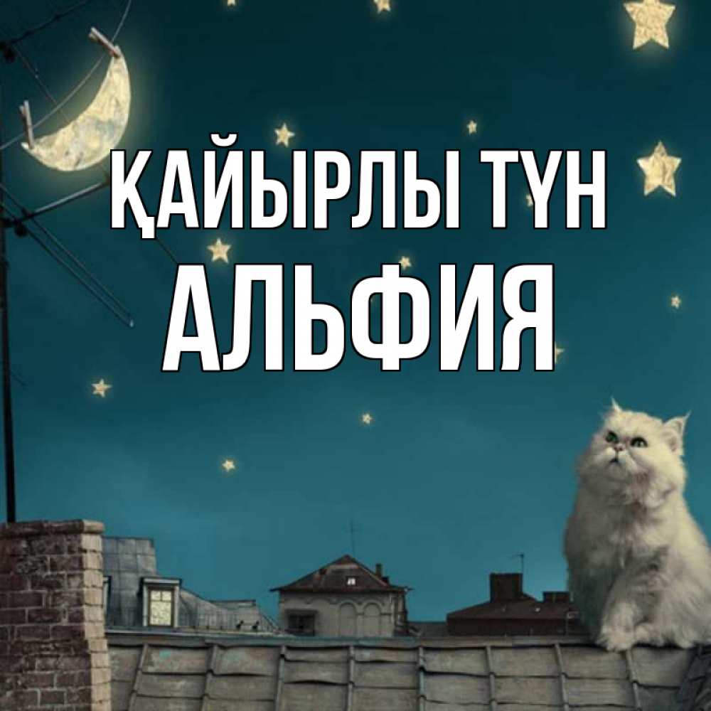 Күн сайын ашық хат с именем, Альфия Қайырлы түн белый кот сидит на крыше Онлайн тегін жүктеп алу тілектері бар керемет карта 