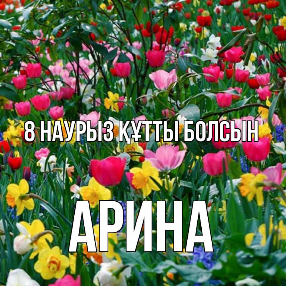 Күн сайын ашық хат с именем, Арина 8 наурыз құтты болсын с международным женским днем поздравления для женщины Онлайн тегін жүктеп алу тілектері бар керемет карта 