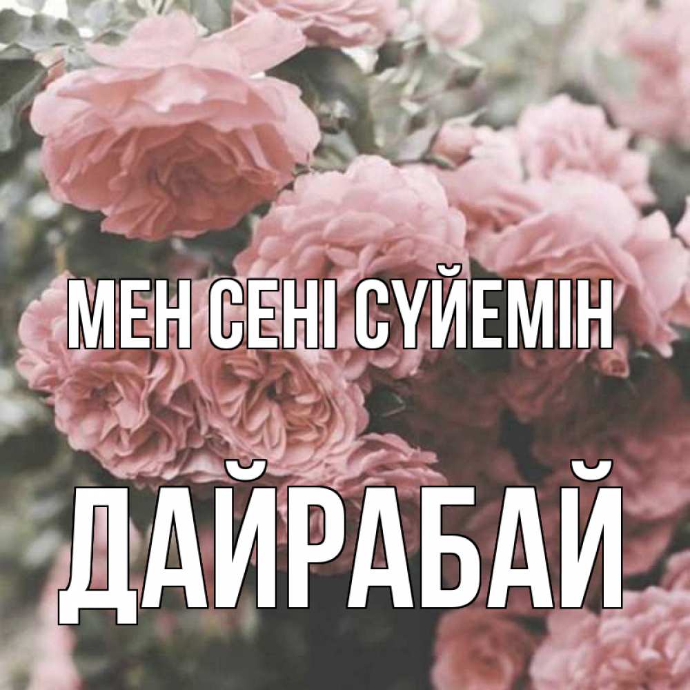 Күн сайын ашық хат с именем, Дайрабай Мен сені сүйемін розы 3 Онлайн тегін жүктеп алу тілектері бар керемет карта 