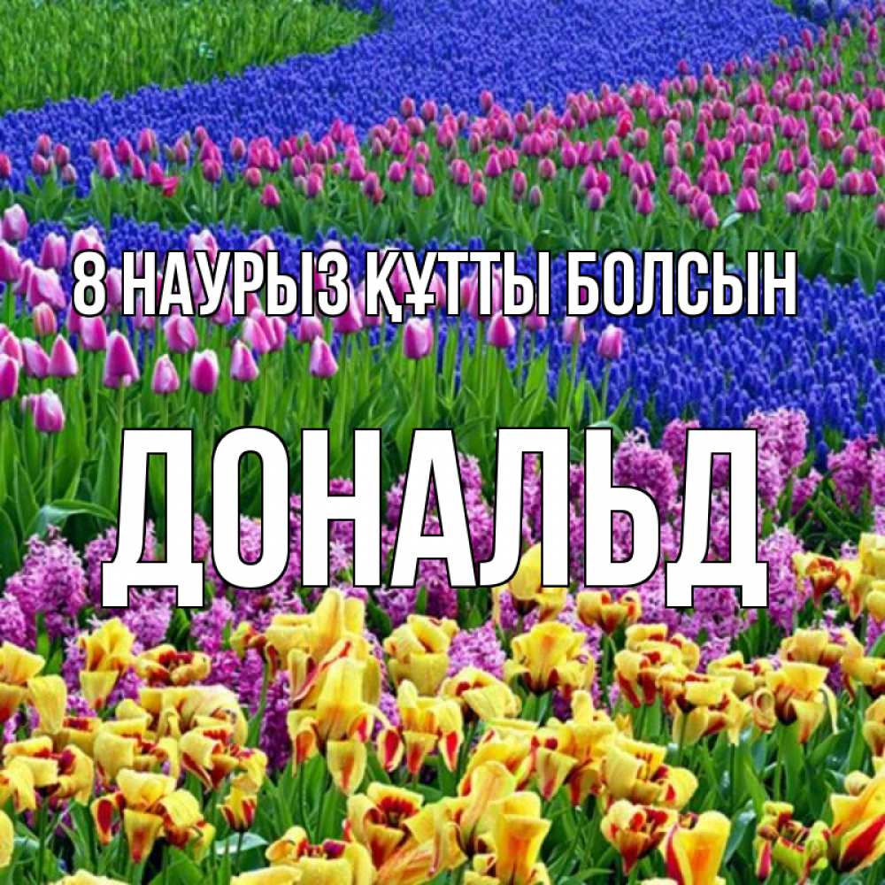 Күн сайын ашық хат с именем, Дональд 8 наурыз құтты болсын цветы Онлайн тегін жүктеп алу тілектері бар керемет карта 