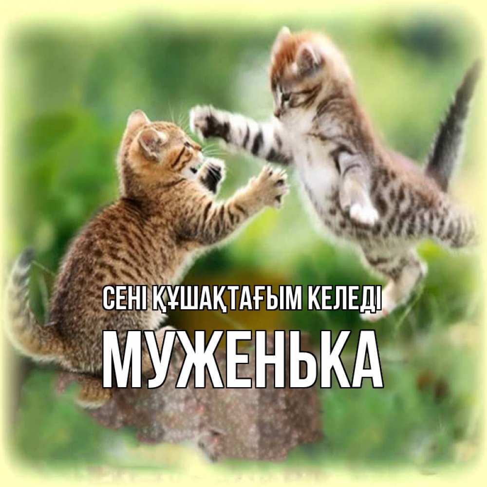 Күн сайын ашық хат с именем, Муженька сені құшақтағым келеді игры котят Онлайн тегін жүктеп алу тілектері бар керемет карта 