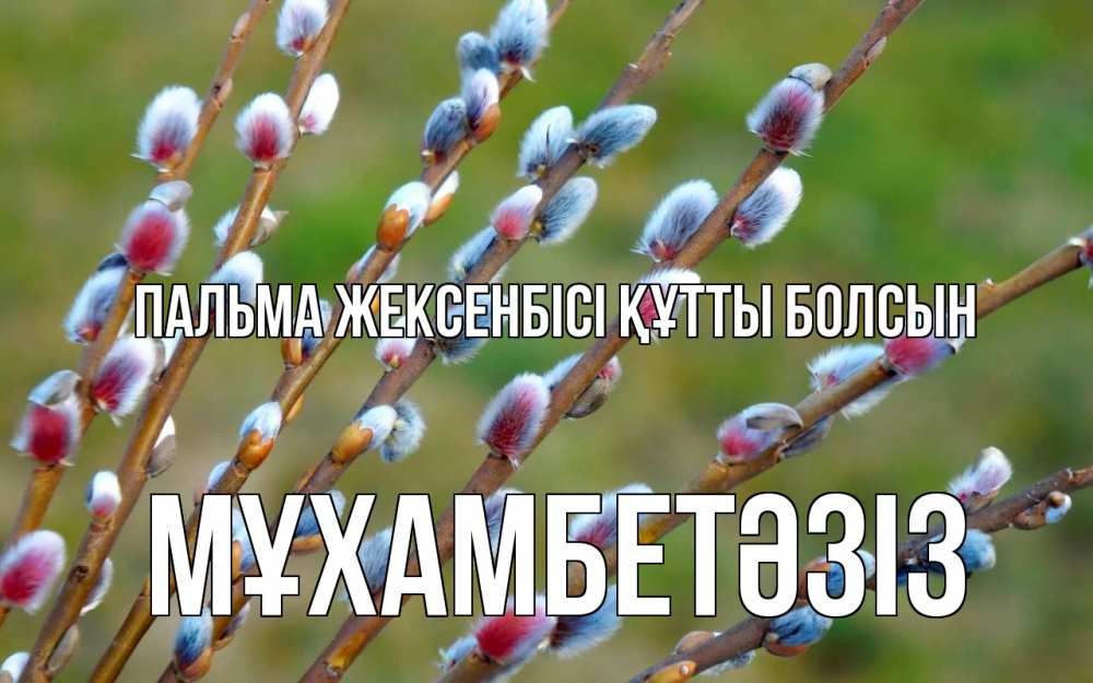 Күн сайын ашық хат с именем, МҰХАМБЕТӘЗІЗ Пальма жексенбісі құтты болсын верба Онлайн тегін жүктеп алу тілектері бар керемет карта 