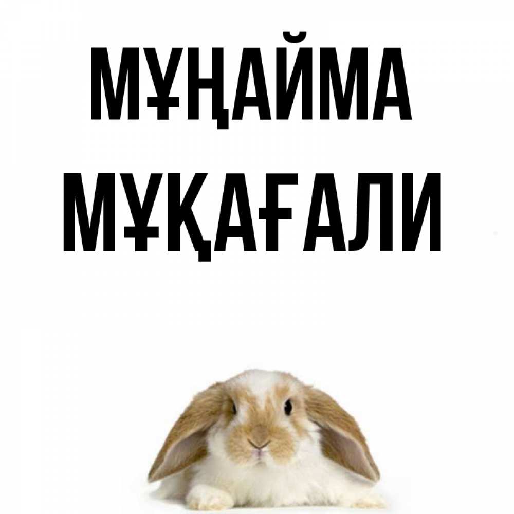 Күн сайын ашық хат с именем, МҰҚАҒАЛИ Мұңайма коричнево белый заяц с большими ушками Онлайн тегін жүктеп алу тілектері бар керемет карта 