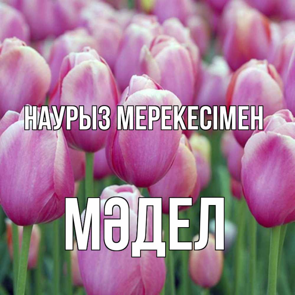 Күн сайын ашық хат с именем, МӘДЕЛ Наурыз мерекесімен праздник весны наурыз 69 Онлайн тегін жүктеп алу тілектері бар керемет карта 