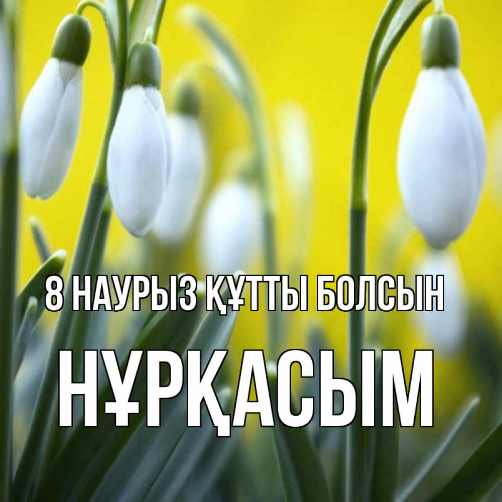 Күн сайын ашық хат с именем, НҰРҚАСЫМ 8 наурыз құтты болсын весенние цветы Онлайн тегін жүктеп алу тілектері бар керемет карта 