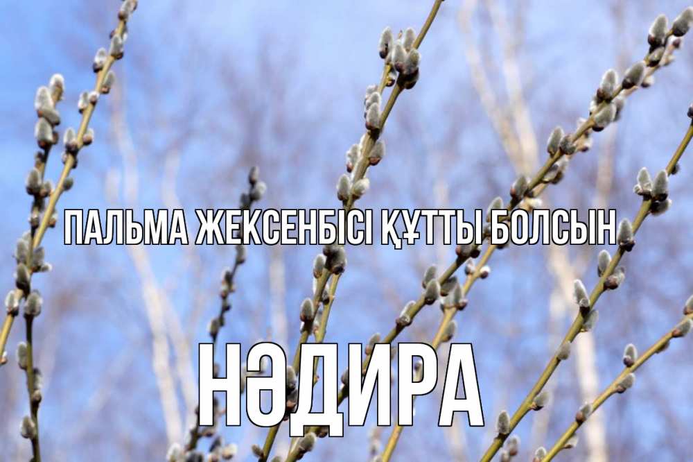 Күн сайын ашық хат с именем, НӘДИРА Пальма жексенбісі құтты болсын верба Онлайн тегін жүктеп алу тілектері бар керемет карта 