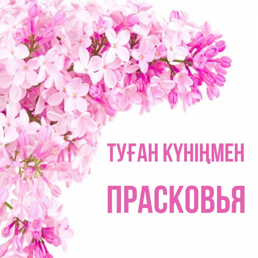 Күн сайын ашық хат с именем, Прасковья Туған күніңмен Сирень на белом фоне Онлайн тегін жүктеп алу тілектері бар керемет карта 