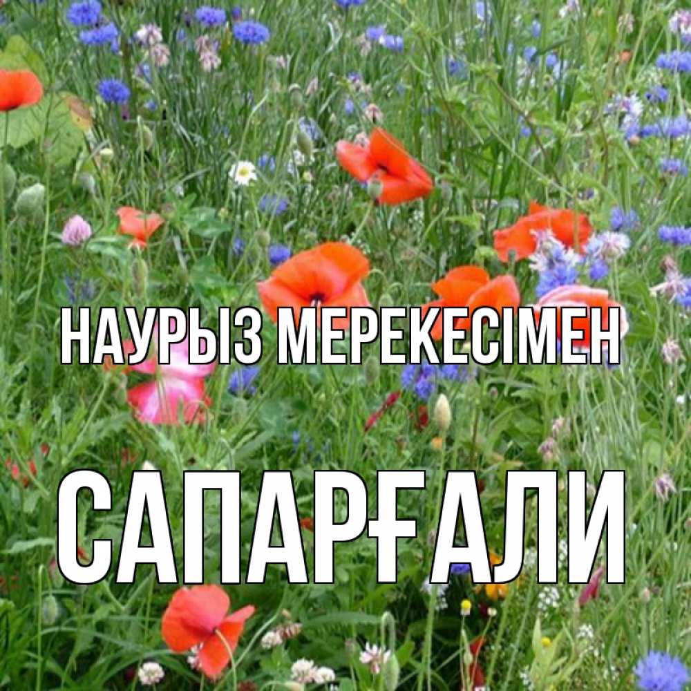 Күн сайын ашық хат с именем, САПАРҒАЛИ Наурыз мерекесімен праздник весны наурыз супер открытка Онлайн тегін жүктеп алу тілектері бар керемет карта 
