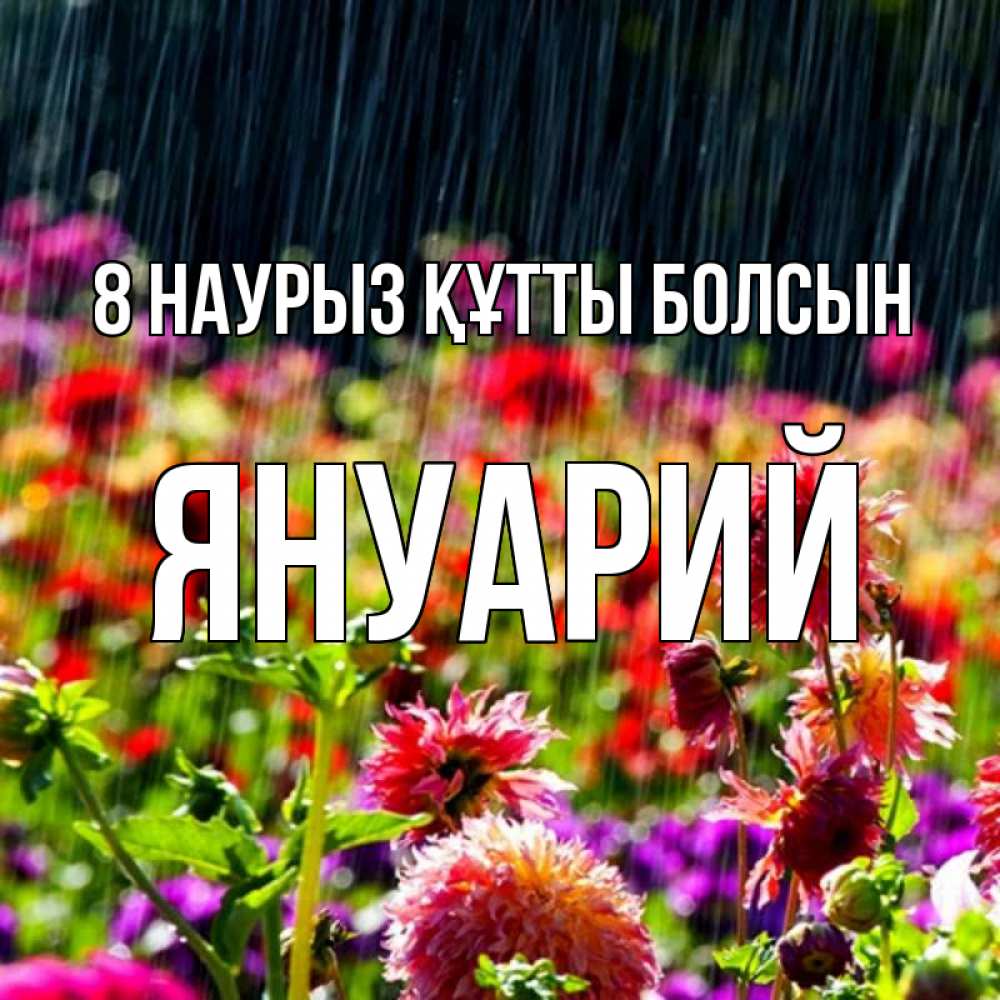 Күн сайын ашық хат с именем, Януарий 8 наурыз құтты болсын цветы под дождиком к международному женскому дню Онлайн тегін жүктеп алу тілектері бар керемет карта 