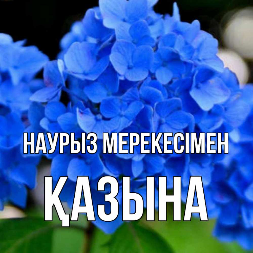 Күн сайын ашық хат с именем, ҚАЗЫНА Наурыз мерекесімен синие цветы Онлайн тегін жүктеп алу тілектері бар керемет карта 