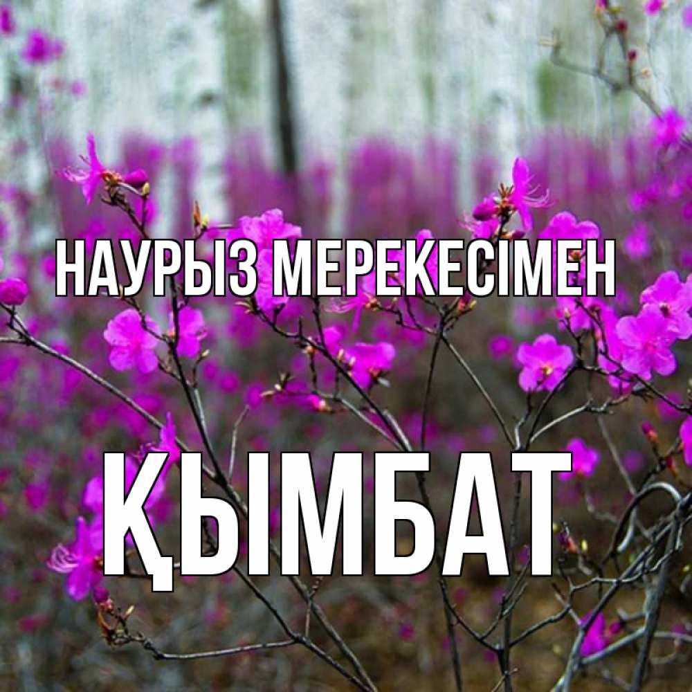 Күн сайын ашық хат с именем, ҚЫМБАТ Наурыз мерекесімен дикие цветы Онлайн тегін жүктеп алу тілектері бар керемет карта 