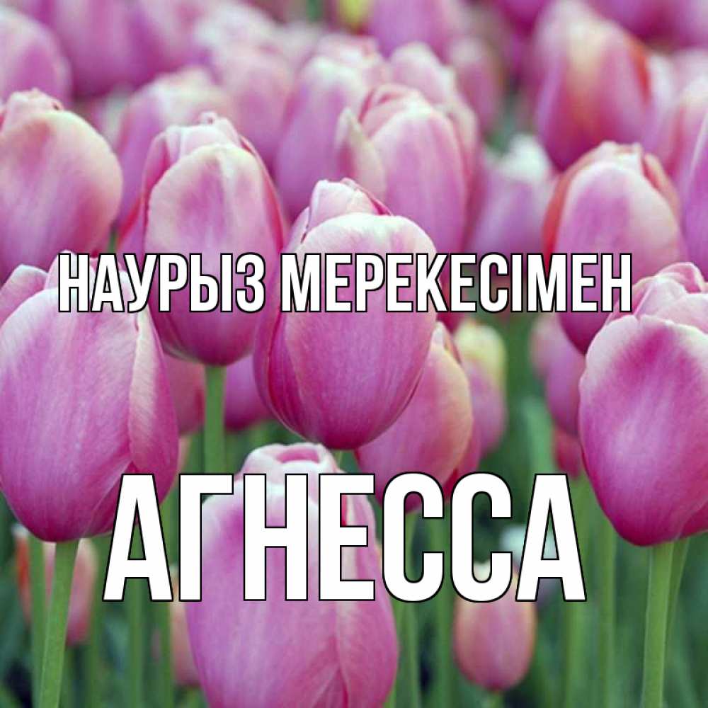 Күн сайын ашық хат с именем, Агнесса Наурыз мерекесімен праздник весны наурыз 69 Онлайн тегін жүктеп алу тілектері бар керемет карта 