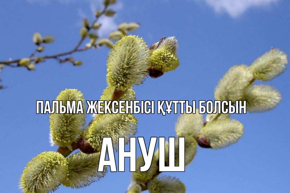 Күн сайын ашық хат с именем, Ануш Пальма жексенбісі құтты болсын верба Онлайн тегін жүктеп алу тілектері бар керемет карта 