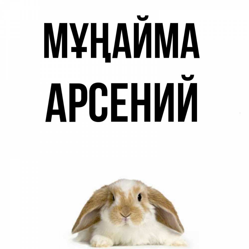 Күн сайын ашық хат с именем, Арсений Мұңайма коричнево белый заяц с большими ушками Онлайн тегін жүктеп алу тілектері бар керемет карта 