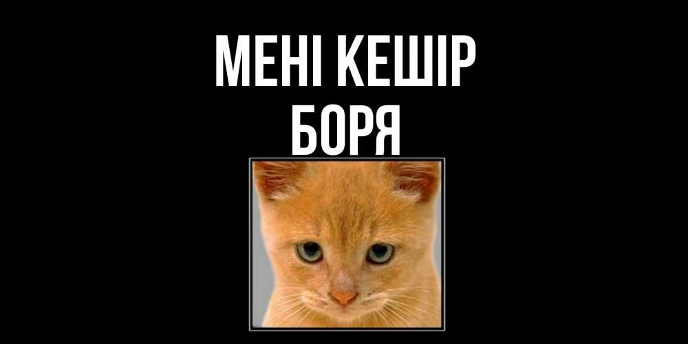 Күн сайын ашық хат с именем, Боря Мені кешір рыжий грустный кот просит прощения Онлайн тегін жүктеп алу тілектері бар керемет карта 