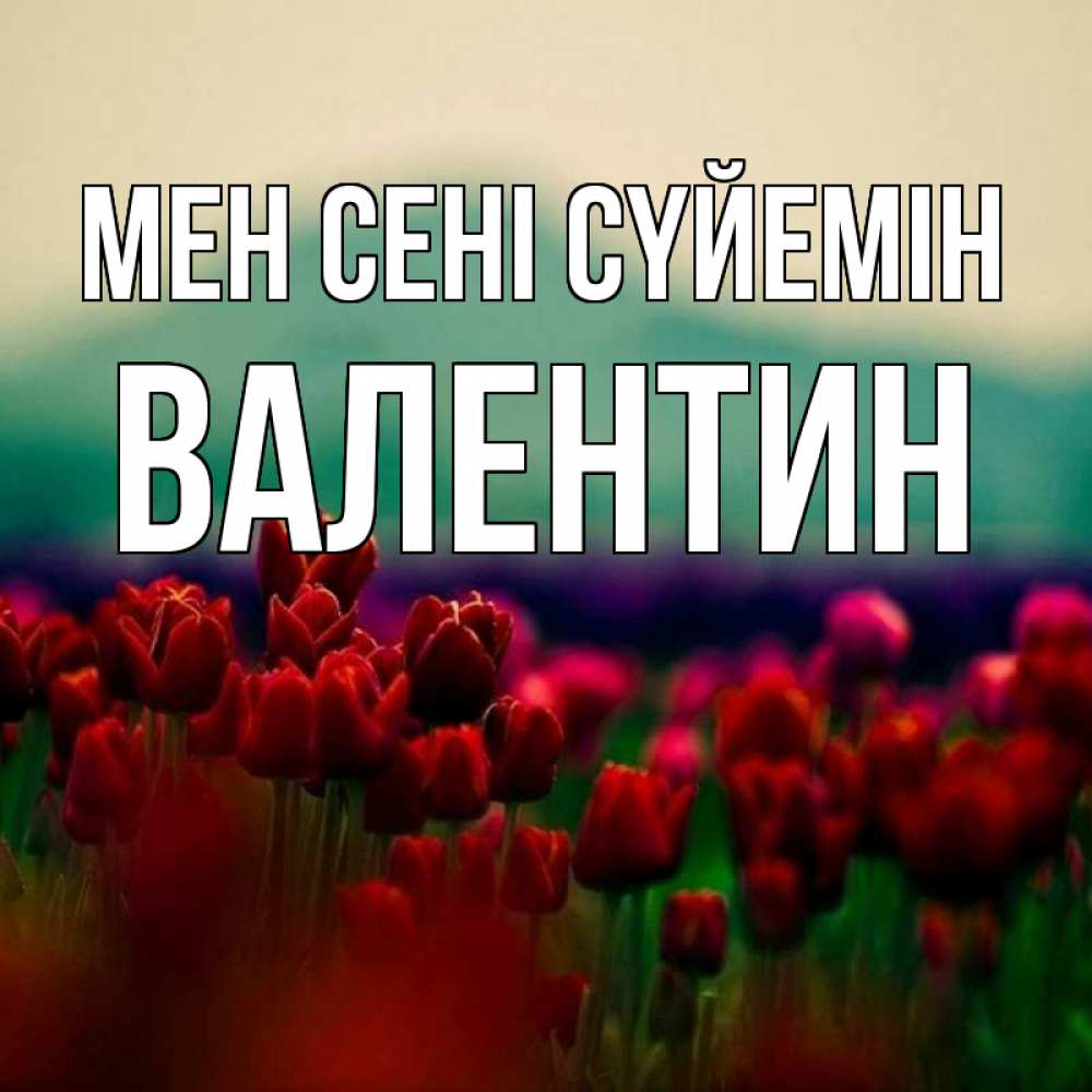 Күн сайын ашық хат с именем, Валентин Мен сені сүйемін тюльпаны 4 Онлайн тегін жүктеп алу тілектері бар керемет карта 