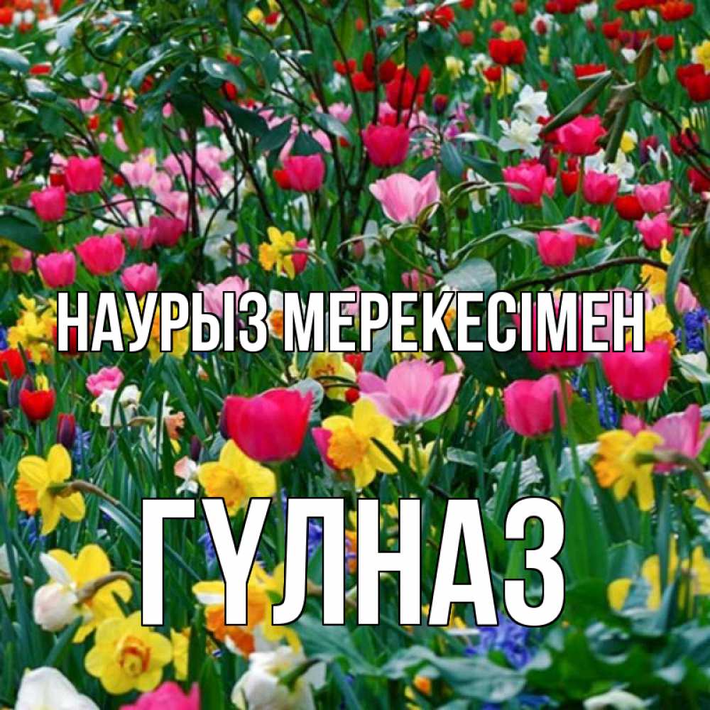 Күн сайын ашық хат с именем, ГҮЛНАЗ Наурыз мерекесімен с наурызом праздником весны поздравления для женщины Онлайн тегін жүктеп алу тілектері бар керемет карта 
