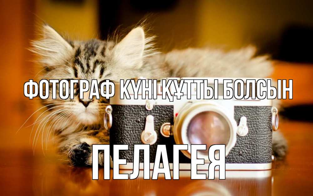 Күн сайын ашық хат с именем, Пелагея Фотограф күні құтты болсын с днем фотографа Онлайн тегін жүктеп алу тілектері бар керемет карта 