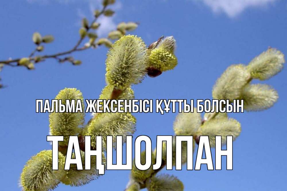Күн сайын ашық хат с именем, ТАҢШОЛПАН Пальма жексенбісі құтты болсын верба Онлайн тегін жүктеп алу тілектері бар керемет карта 