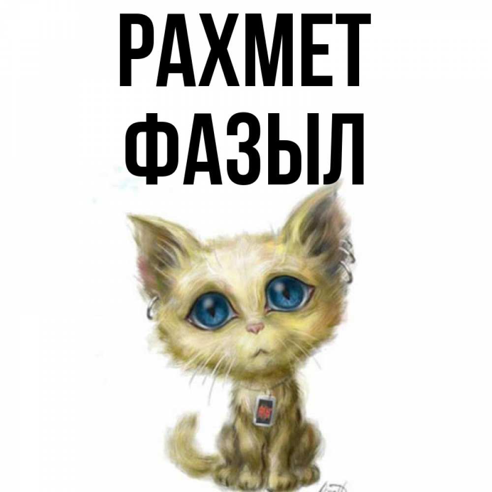 Күн сайын ашық хат с именем, ФАЗЫЛ рахмет рисованный кот благодарит вас Онлайн тегін жүктеп алу тілектері бар керемет карта 