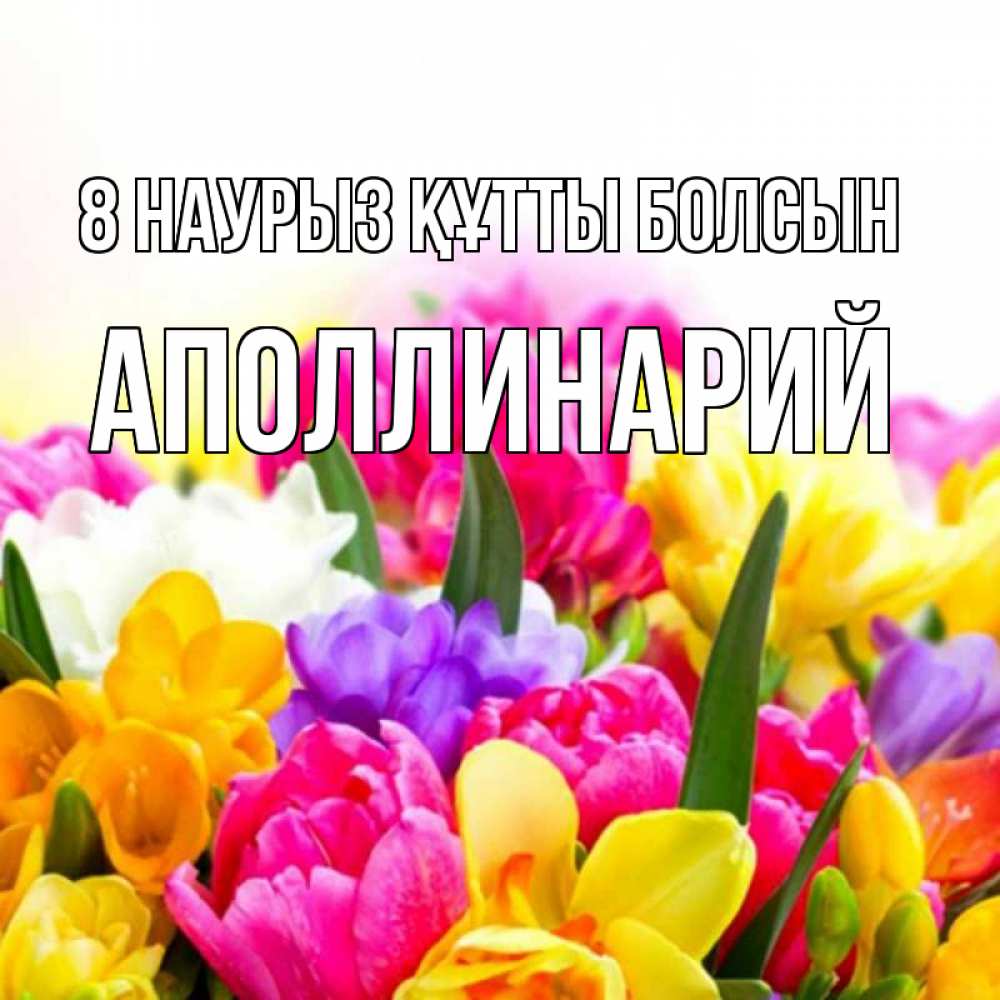 Күн сайын ашық хат с именем, Аполлинарий 8 наурыз құтты болсын тюльпаны Онлайн тегін жүктеп алу тілектері бар керемет карта 