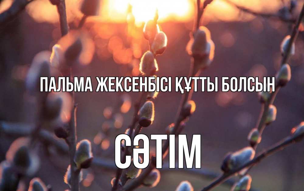 Картинка Пальма жексенбісі құтты болсын, СӘТІМ