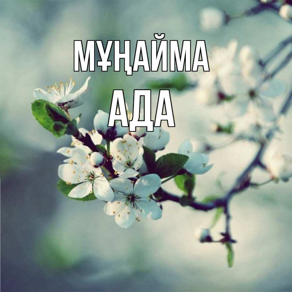 Күн сайын ашық хат с именем, Ада Мұңайма яблоня в цвету 1 Онлайн тегін жүктеп алу тілектері бар керемет карта 