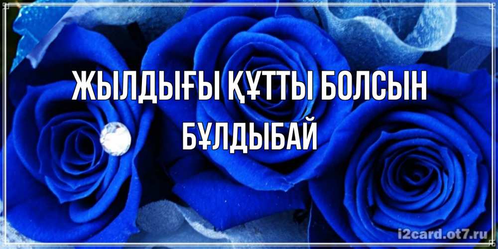 Күн сайын ашық хат с именем, Бұлдыбай Жылдығы құтты болсын синие розы в росе Онлайн тегін жүктеп алу тілектері бар керемет карта 