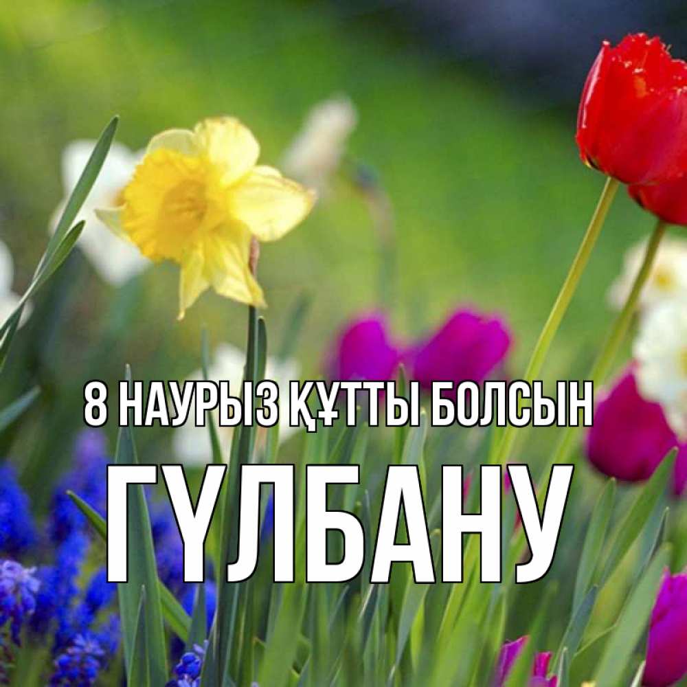 Күн сайын ашық хат с именем, ГҮЛБАНУ 8 наурыз құтты болсын международный женский день 3 Онлайн тегін жүктеп алу тілектері бар керемет карта 
