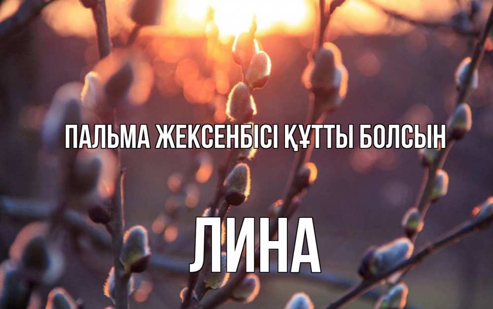 Күн сайын ашық хат с именем, Лина Пальма жексенбісі құтты болсын верба Онлайн тегін жүктеп алу тілектері бар керемет карта 
