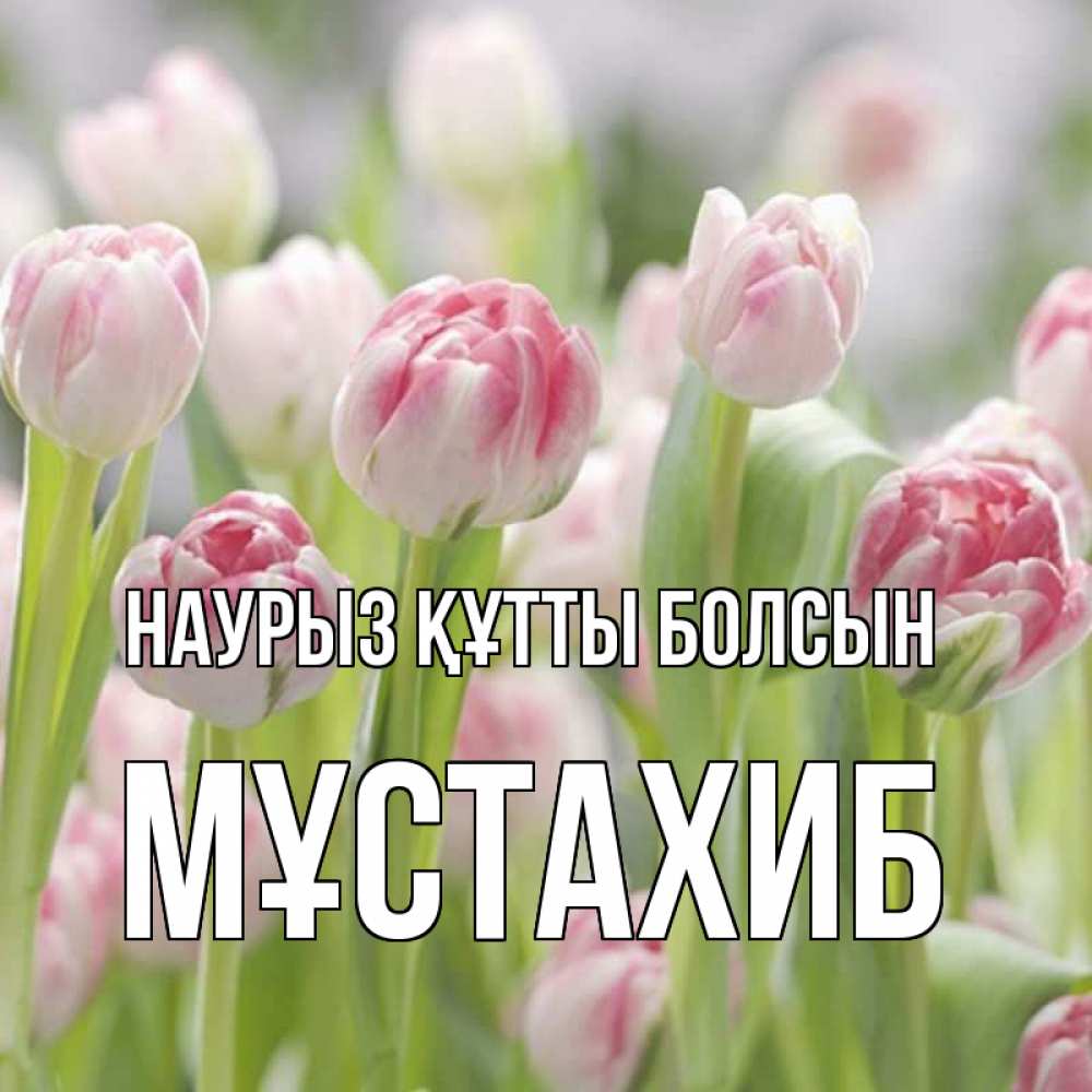 Күн сайын ашық хат с именем, МҰСТАХИБ Наурыз құтты болсын цветы Онлайн тегін жүктеп алу тілектері бар керемет карта 