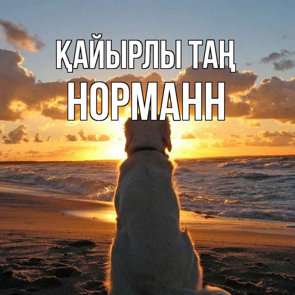 Күн сайын ашық хат с именем, Норманн Қайырлы таң восход солнца Онлайн тегін жүктеп алу тілектері бар керемет карта 