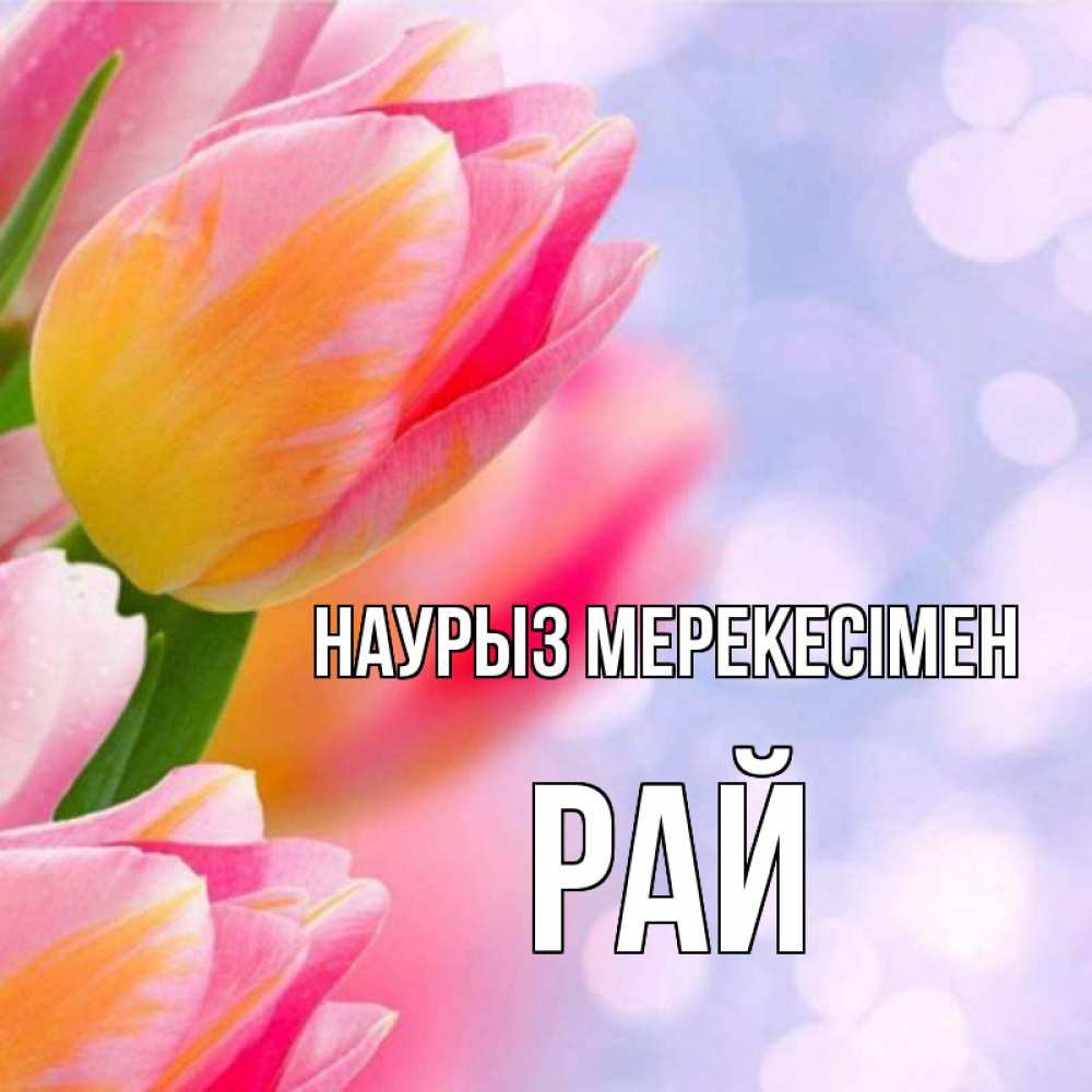 Күн сайын ашық хат с именем, РАЙ Наурыз мерекесімен тюльпаны 2 Онлайн тегін жүктеп алу тілектері бар керемет карта 