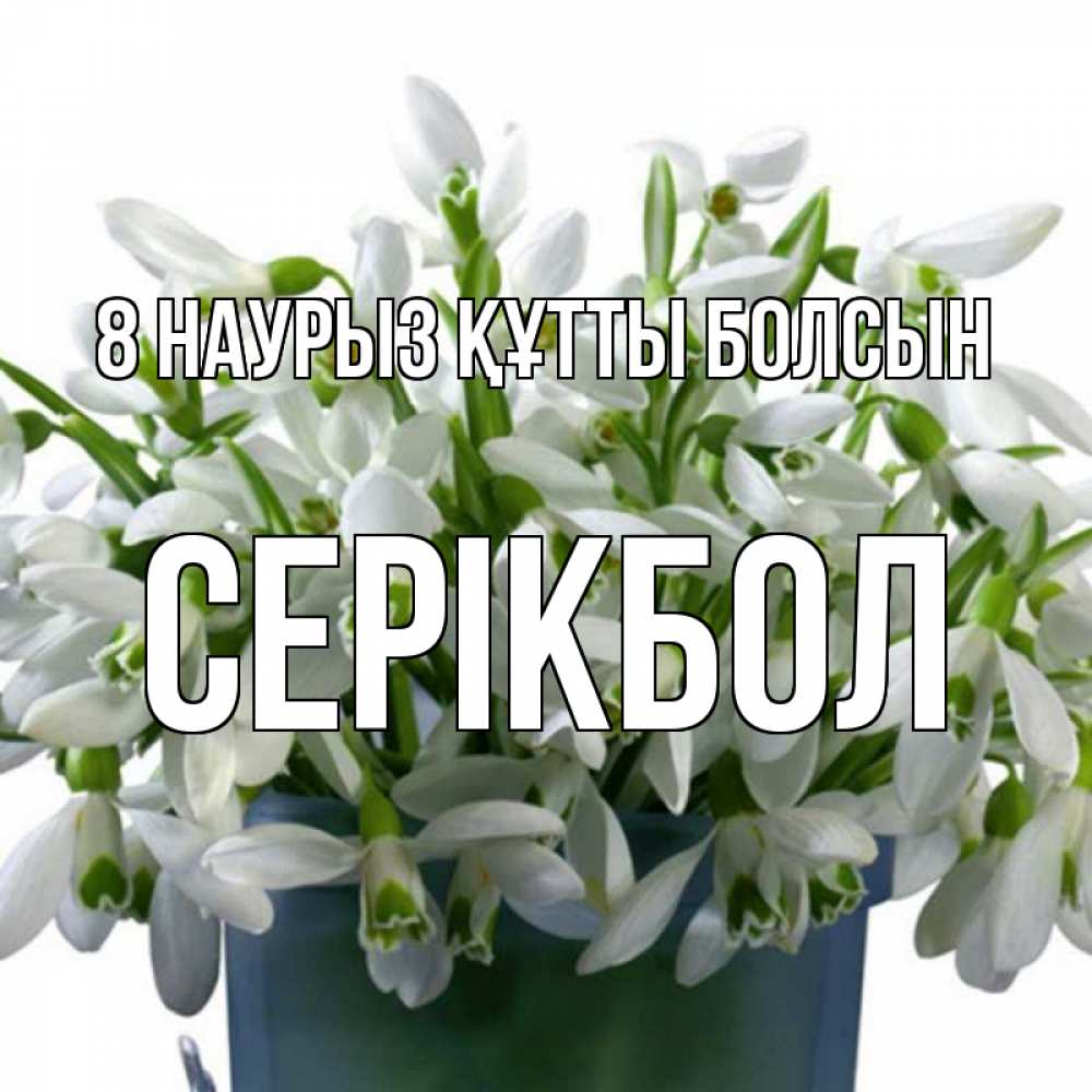 Күн сайын ашық хат с именем, СЕРІКБОЛ 8 наурыз құтты болсын цветы к международному женскому дню Онлайн тегін жүктеп алу тілектері бар керемет карта 