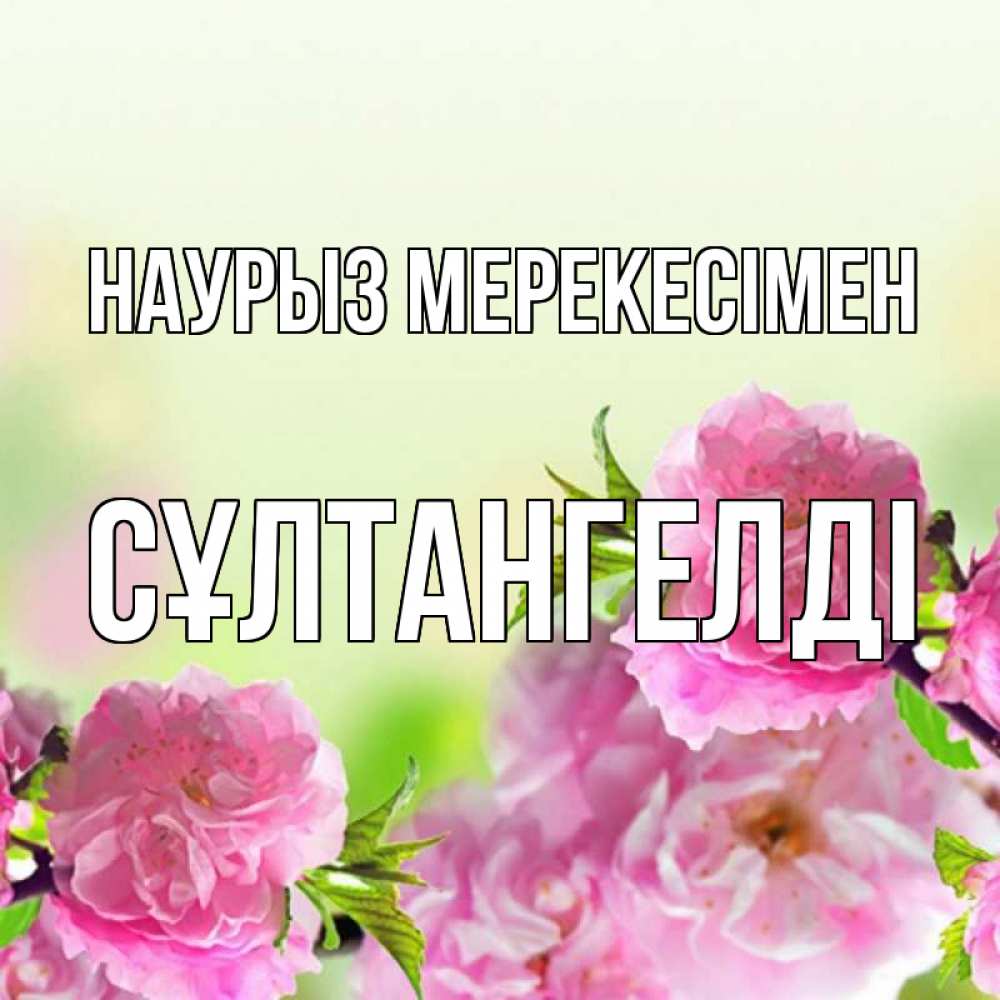 Күн сайын ашық хат с именем, СҰЛТАНГЕЛДІ Наурыз мерекесімен цветы Онлайн тегін жүктеп алу тілектері бар керемет карта 
