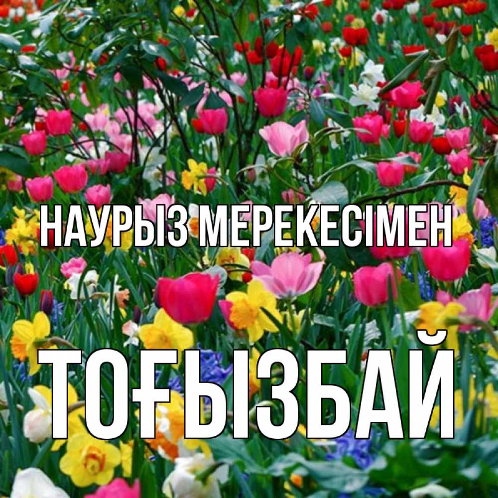 Күн сайын ашық хат с именем, ТОҒЫЗБАЙ Наурыз мерекесімен с наурызом праздником весны поздравления для женщины Онлайн тегін жүктеп алу тілектері бар керемет карта 