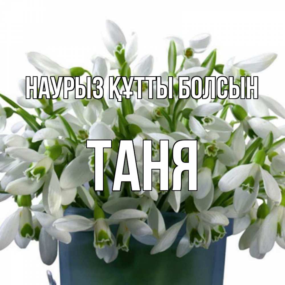 Күн сайын ашық хат с именем, Таня Наурыз құтты болсын цветы к наурызу Онлайн тегін жүктеп алу тілектері бар керемет карта 