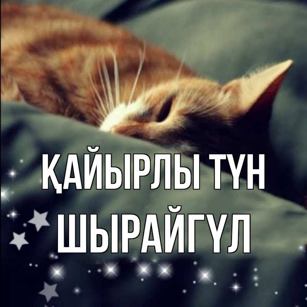 Күн сайын ашық хат с именем, ШЫРАЙГҮЛ Қайырлы түн кроватка Онлайн тегін жүктеп алу тілектері бар керемет карта 