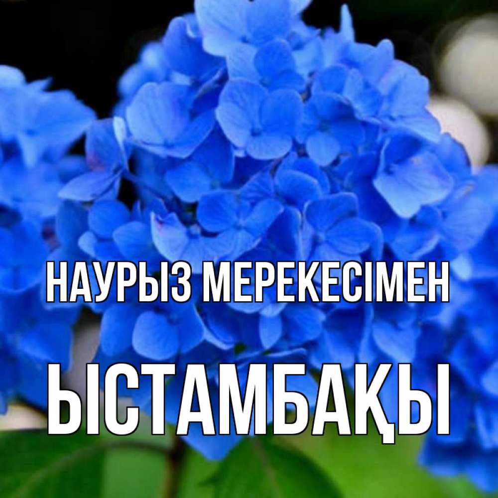 Күн сайын ашық хат с именем, ЫСТАМБАҚЫ Наурыз мерекесімен синие цветы Онлайн тегін жүктеп алу тілектері бар керемет карта 
