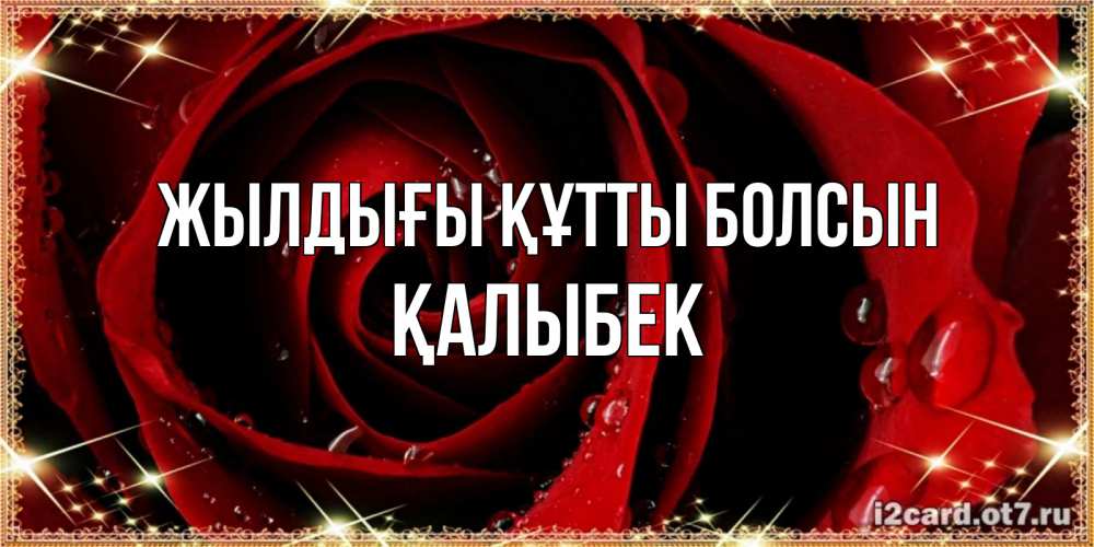 Күн сайын ашық хат с именем, Қалыбек Жылдығы құтты болсын цветок в росе на день рождения Онлайн тегін жүктеп алу тілектері бар керемет карта 