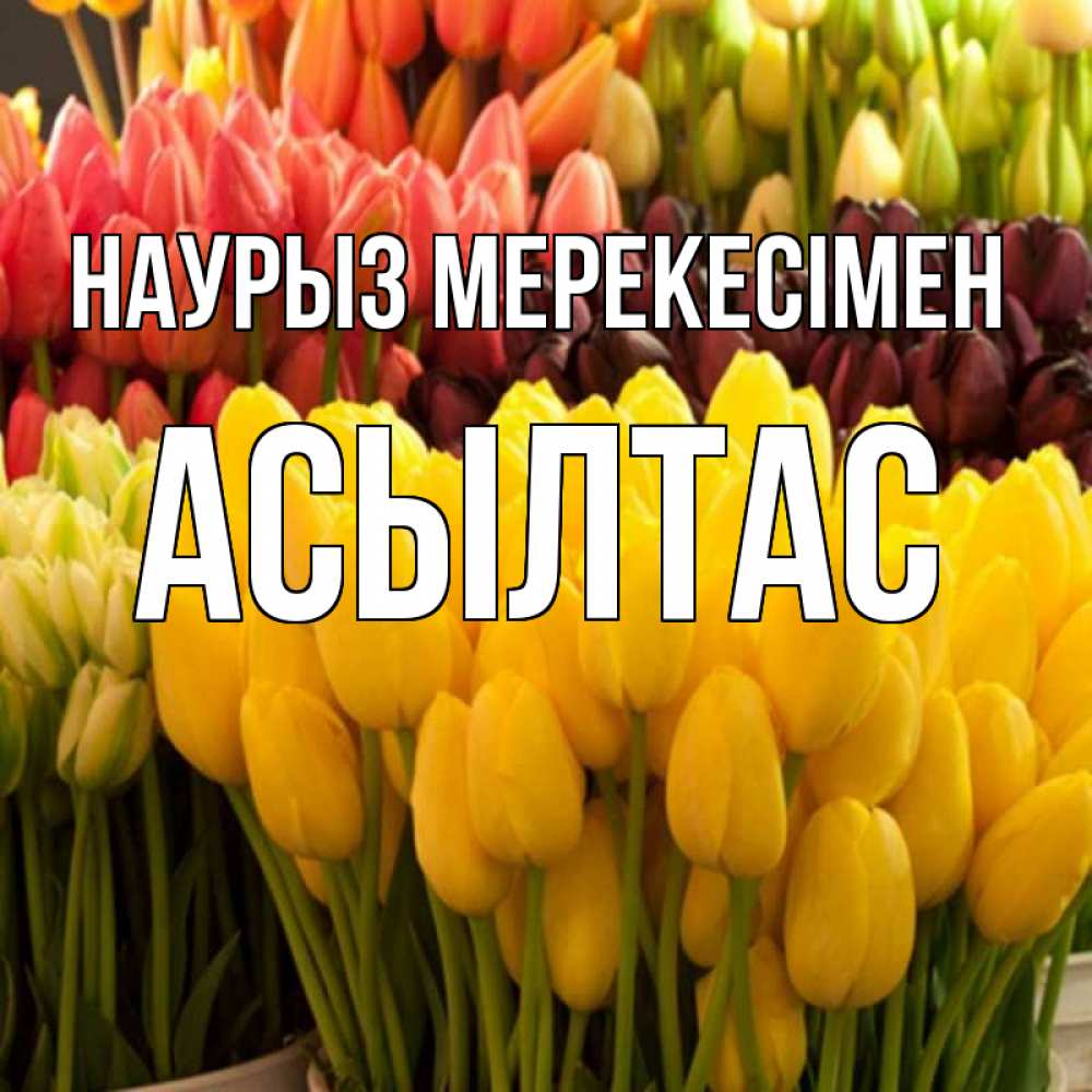 Күн сайын ашық хат с именем, АСЫЛТАС Наурыз мерекесімен цветы Онлайн тегін жүктеп алу тілектері бар керемет карта 