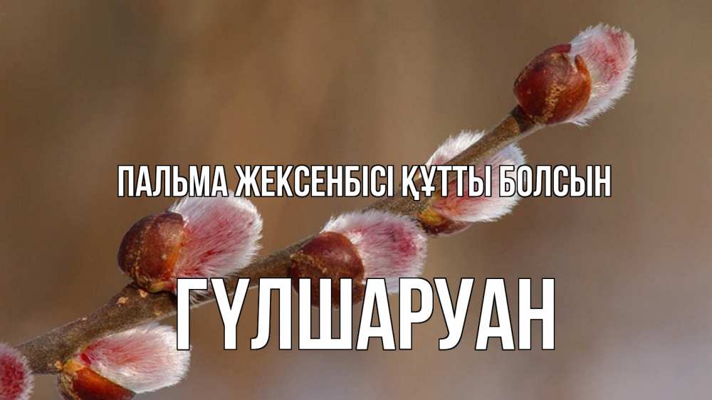 Күн сайын ашық хат с именем, ГҮЛШАРУАН Пальма жексенбісі құтты болсын верба Онлайн тегін жүктеп алу тілектері бар керемет карта 