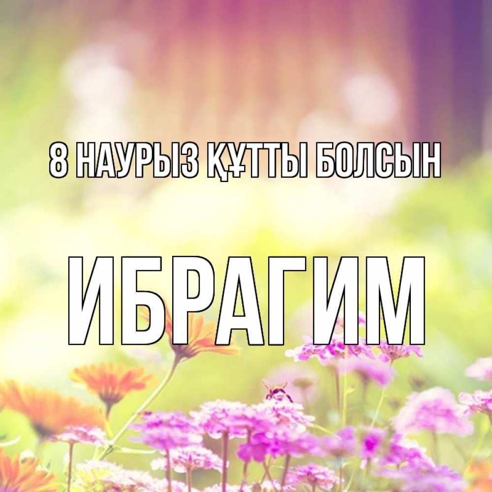 Күн сайын ашық хат с именем, Ибрагим 8 наурыз құтты болсын цветы весна Онлайн тегін жүктеп алу тілектері бар керемет карта 