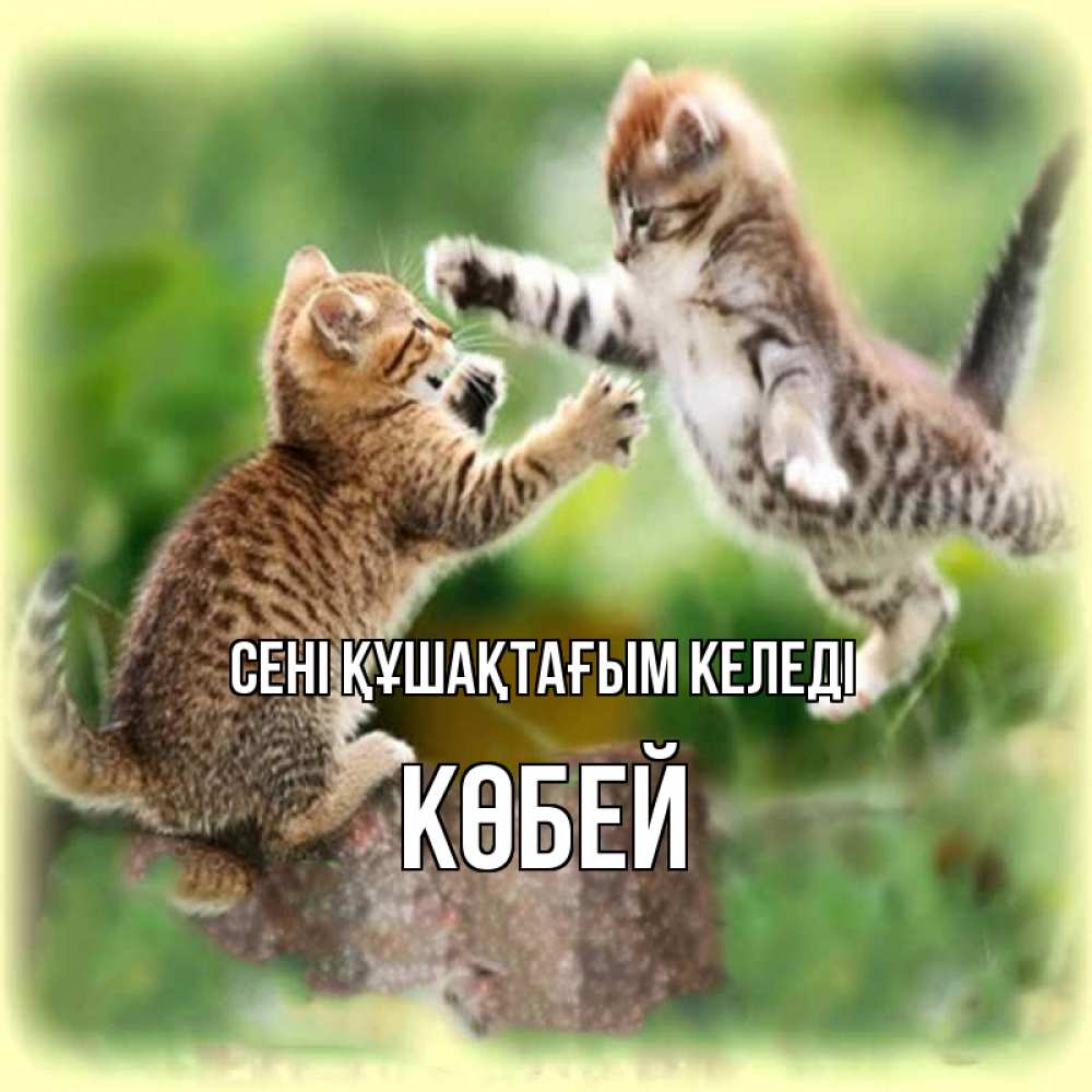 Күн сайын ашық хат с именем, Көбей сені құшақтағым келеді игры котят Онлайн тегін жүктеп алу тілектері бар керемет карта 