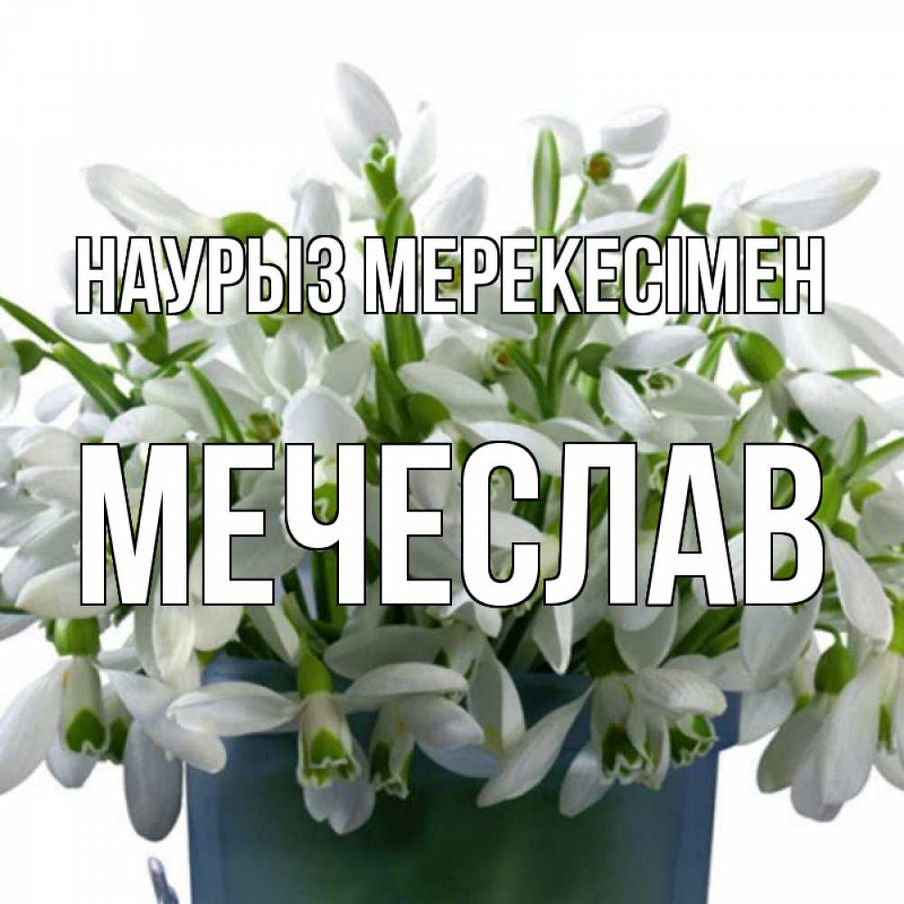 Күн сайын ашық хат с именем, Мечеслав Наурыз мерекесімен цветы к наурызу новый год в Казахстане Онлайн тегін жүктеп алу тілектері бар керемет карта 
