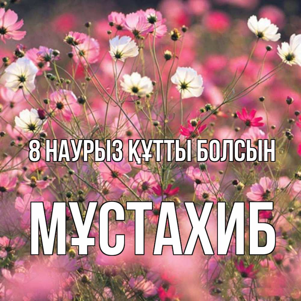 Күн сайын ашық хат с именем, МҰСТАХИБ 8 наурыз құтты болсын красиво 1 Онлайн тегін жүктеп алу тілектері бар керемет карта 