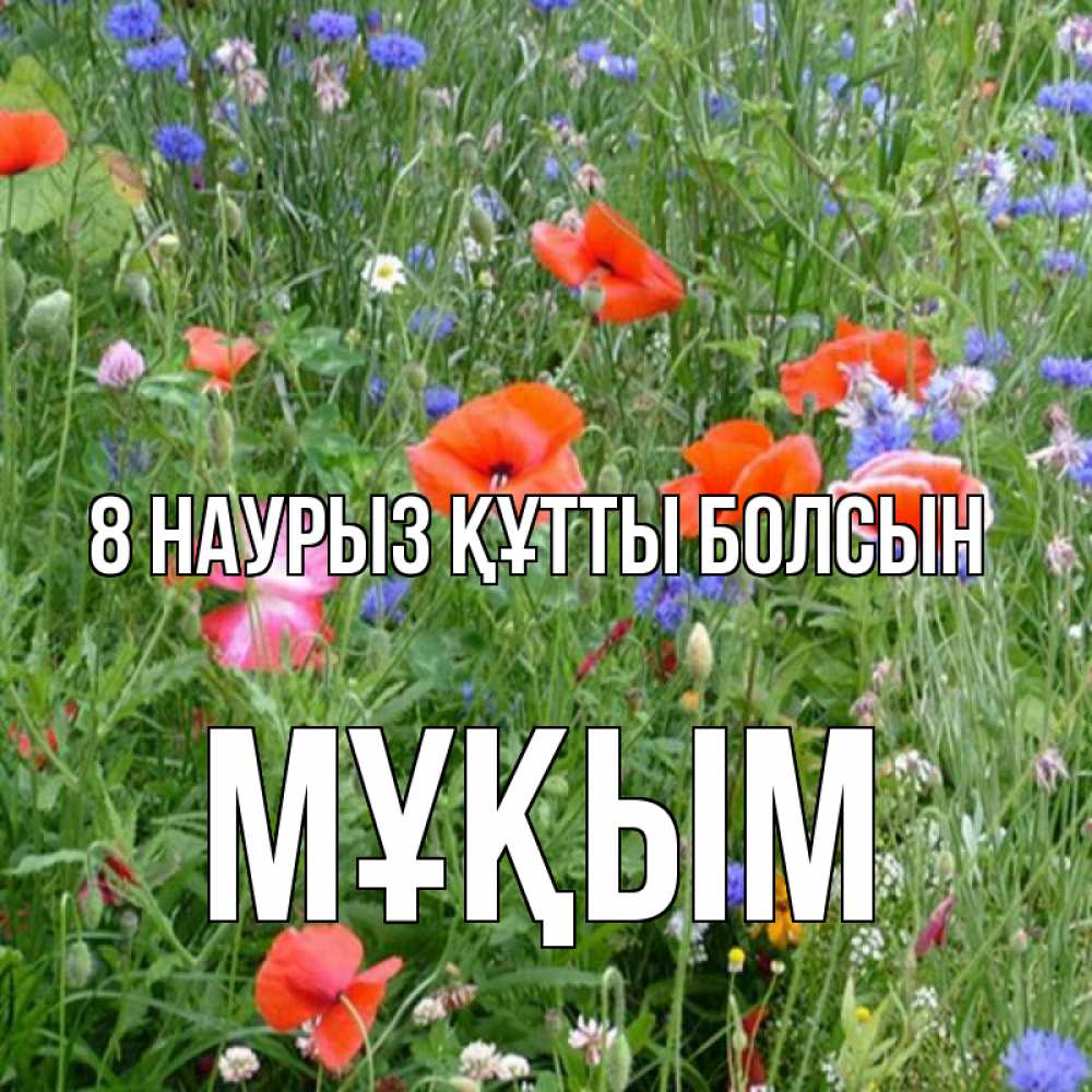 Күн сайын ашық хат с именем, МҰҚЫМ 8 наурыз құтты болсын международный женский день 4 Онлайн тегін жүктеп алу тілектері бар керемет карта 